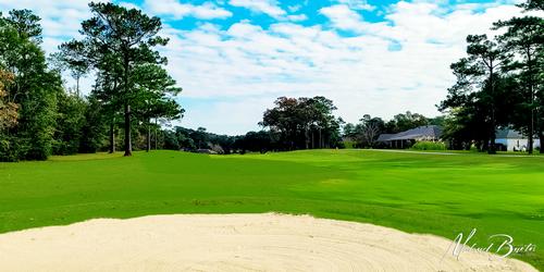 golf article